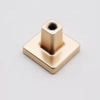 Mâner U02332 Small Knob Brushed Brass+Cafeniu Piele 2