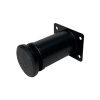 Picior reglabil ZYA-002 H100 Negru 2