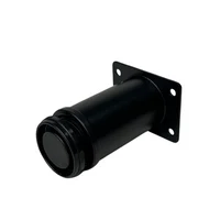 Furniture leg adjustable ZYD-012 H100 Black 2